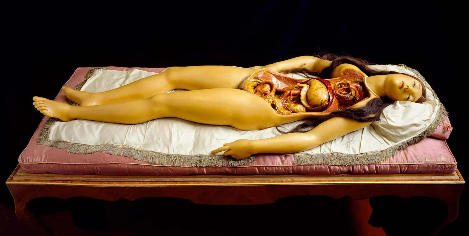 Venus anatómica de cera de Susini con vientre expuesto